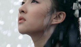 天涯爆料帖刘亦菲视频在线观看,揭秘女神幕后生活片段